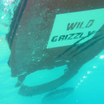 Wild Grizzley Sup board